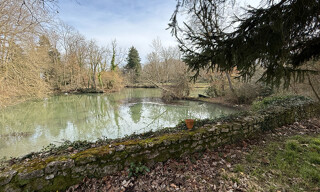 Photo N° 5