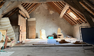 Photo N° 6