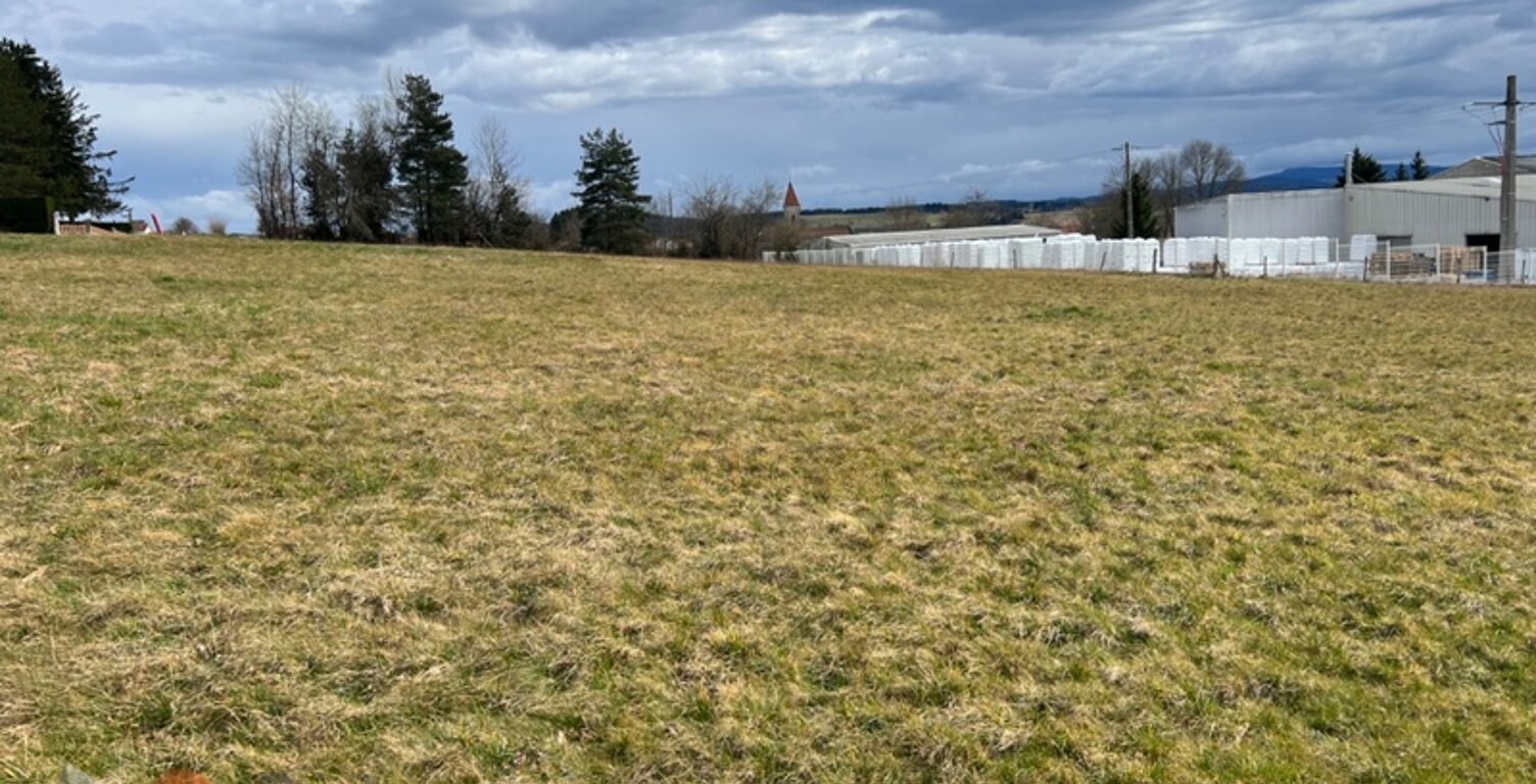 Terrain — photo 1