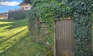 Photo N° 6