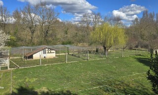 Photo N° 8