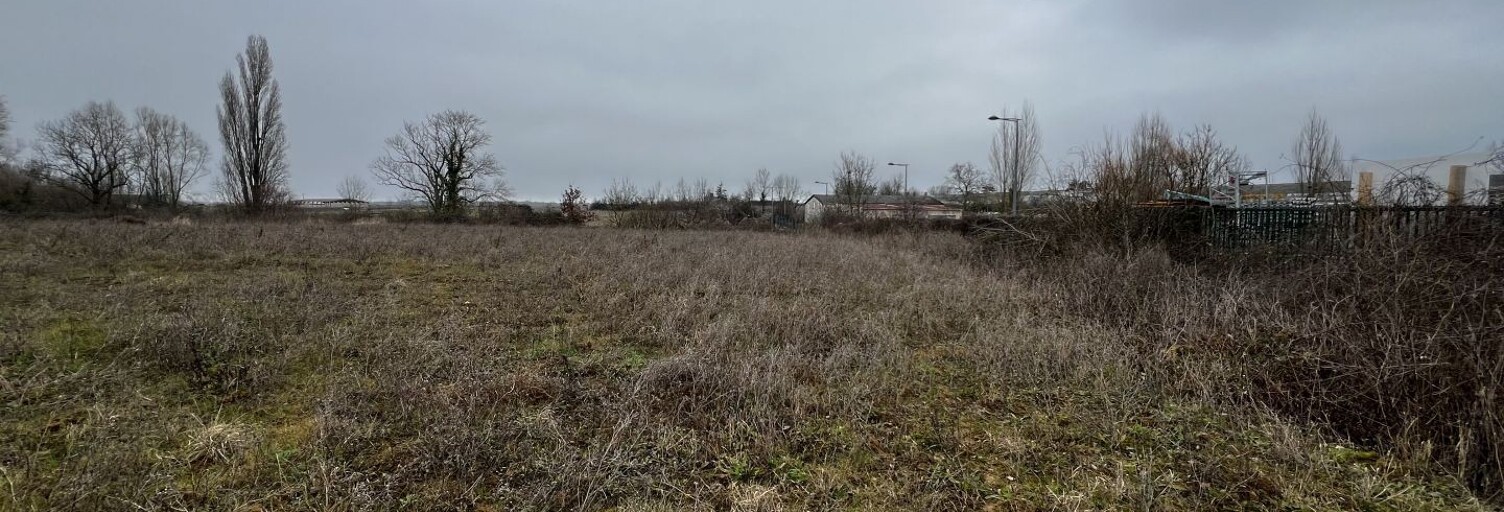 Commerce  5563 m² à vendre à Chevry-Cossigny (77173)