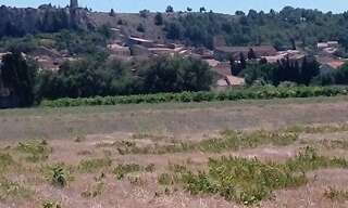 Terrain  428 m² à vendre à Roquefort-des-Corbières (11540)