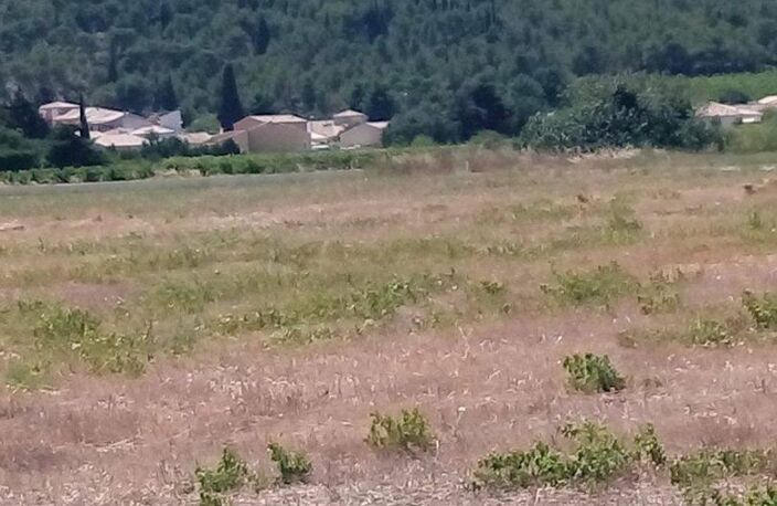 Vente Terrain 428 m&sup2; — photo 2