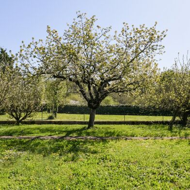 Terrain  70000 €