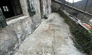 Photo N° 4