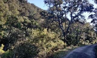 Terrain  41560 m² à vendre à Collobrières (83610)