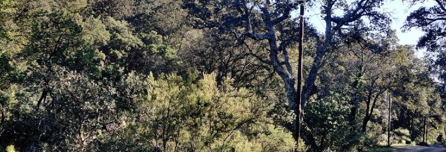 Terrain  41560 m² à vendre à Collobrières (83610)