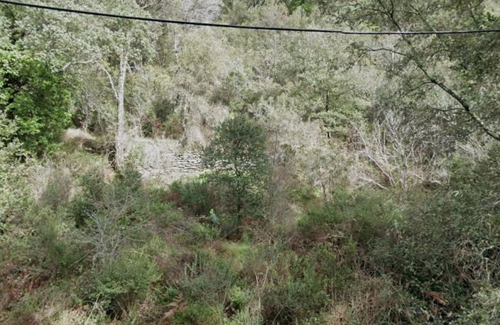 Collobrières  (Var)- Secteur haut de Vaudrèche - Terrain non con — photo 2