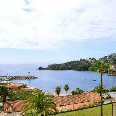 Appartement 3 pièces 535 €