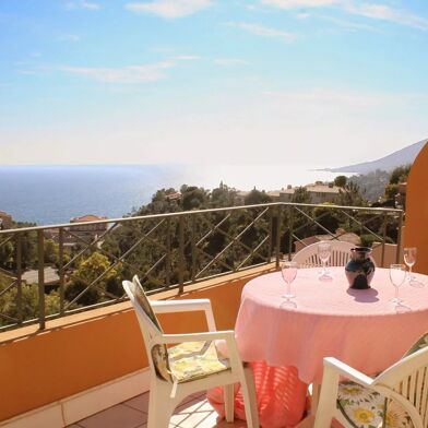 Appartement 1 pièces 312 €