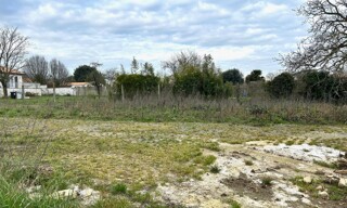 Photo N° 5