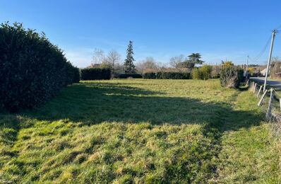 terrain  pièces 850 m2 à vendre à Sendets (33690)