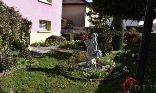 Photo N° 7