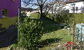 Photo N° 9