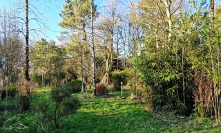 Photo N° 4