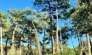 Maison 6 Pièces 190 m² à vendre à Anglet (64600)