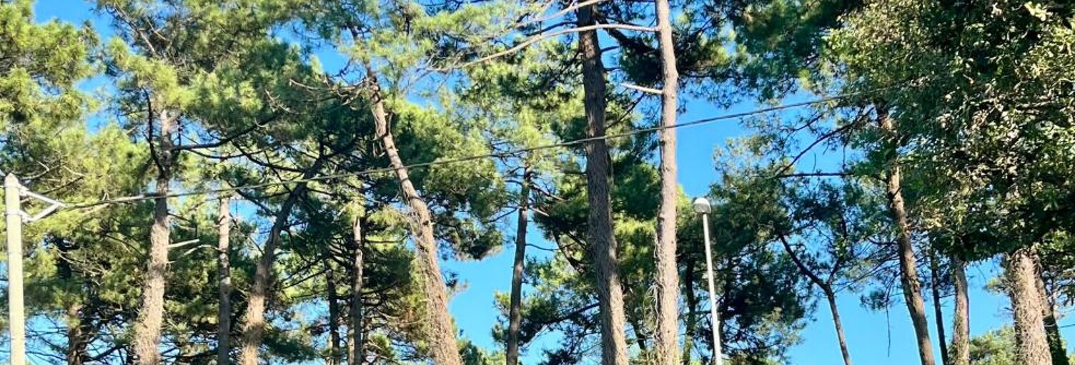 Maison 6 Pièces 170 m² à vendre à Anglet (64600)