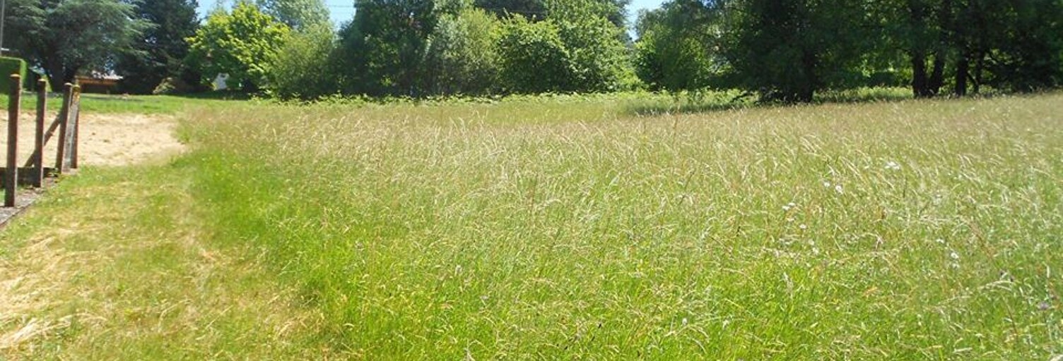 Terrain  1900 m² à vendre à Lacrouzette (81210)