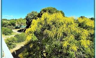 Appartement 4 Pièces 79 m² à vendre à Orange (84100)