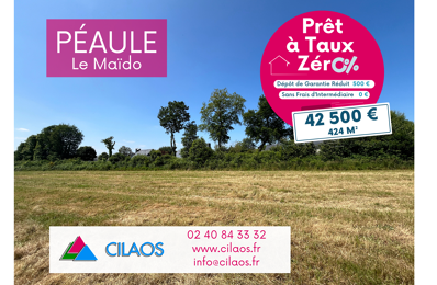 vente terrain 42 500 € à proximité de Saint-Dolay (56130)