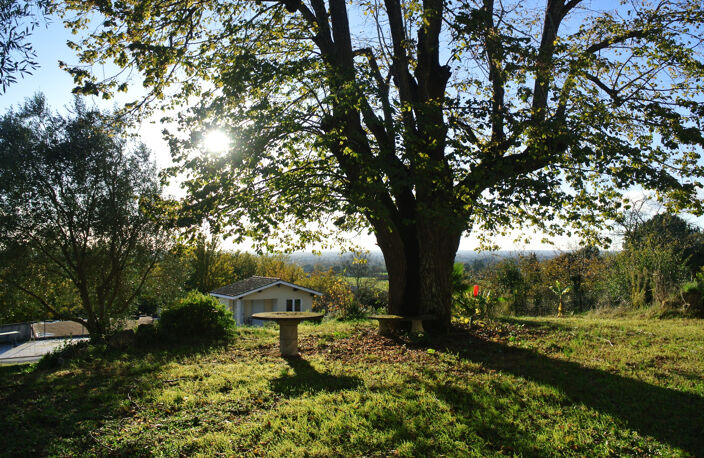 MAISON Bourgeoise située sur les coteaux de Marmande — photo 4