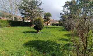 Photo N° 4