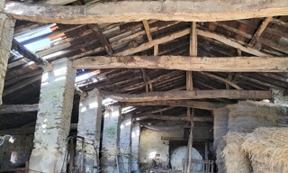 Photo N° 6