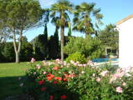 propriété — photo 4