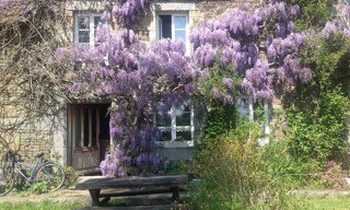 Photo N° 6