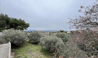 Terrain  1352 m² à vendre à Pignan (34570)