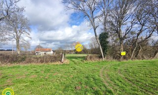 Photo N° 3