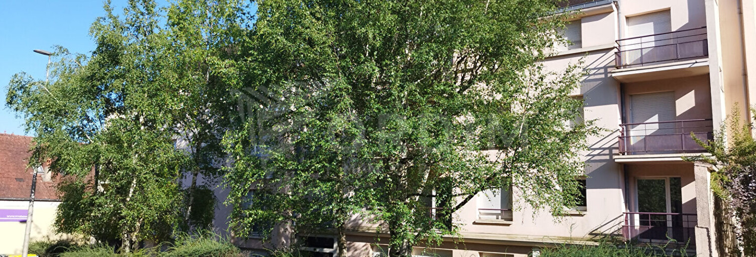 Immeuble  176 m² à vendre à Auxerre (89000)