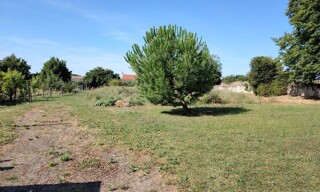 Photo N° 4