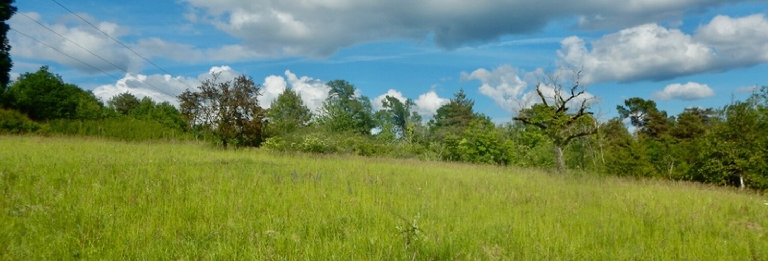 Terrain  1500 m² à vendre à Coulounieix-Chamiers (24660)