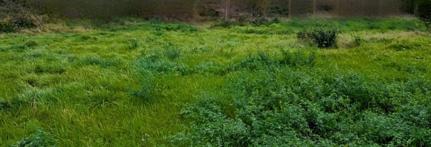 Terrain  520 m² à vendre à Laumesfeld (57480)