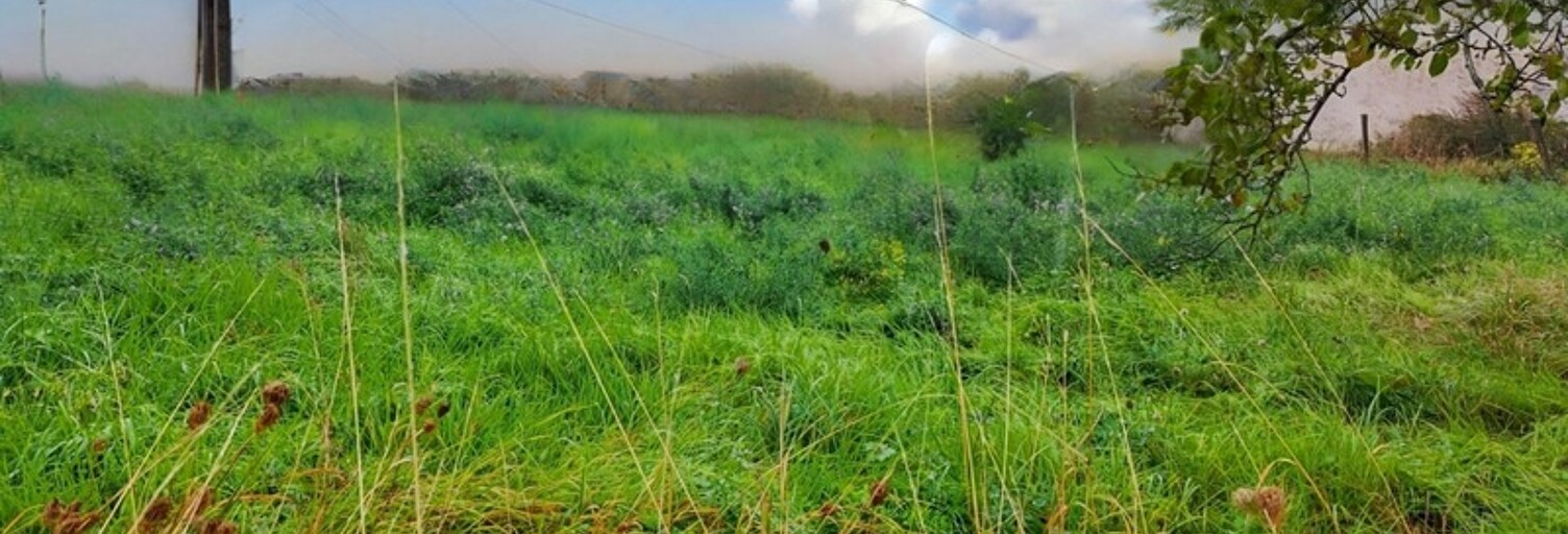 Terrain  517 m² à vendre à Laumesfeld (57480)