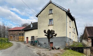 Photo N° 16