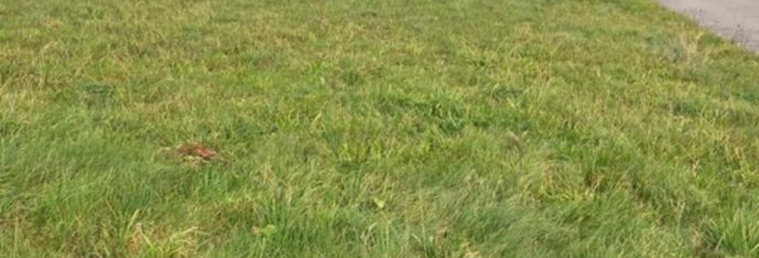 Terrain  941 m² à vendre à Bretonvillers (25380)