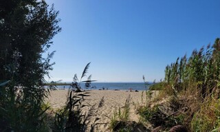 Photo N° 3