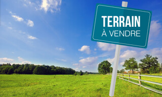 Photo N° 7