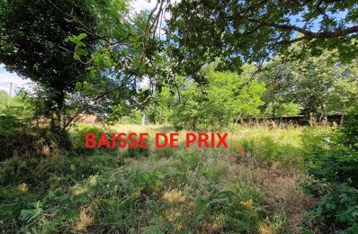 vente terrain 120 000 € à proximité de Saint-Julien-en-Born (40170)