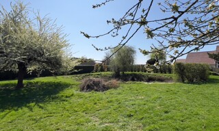 Photo N° 4
