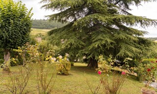 Photo N° 4