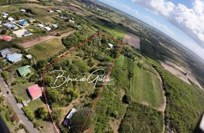 vente maison 533 000 € à proximité de Morne-à-l'Eau (97111)