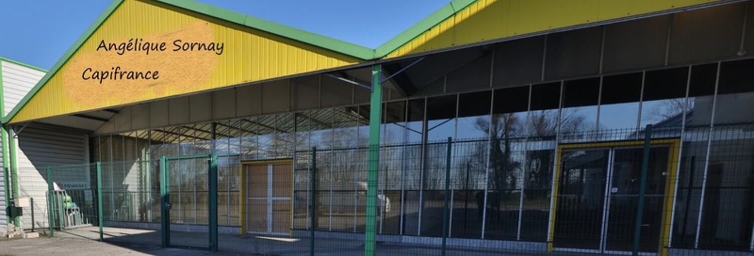 Local industriel 4 Pièces 1518 m² à vendre à Bletterans (39140)