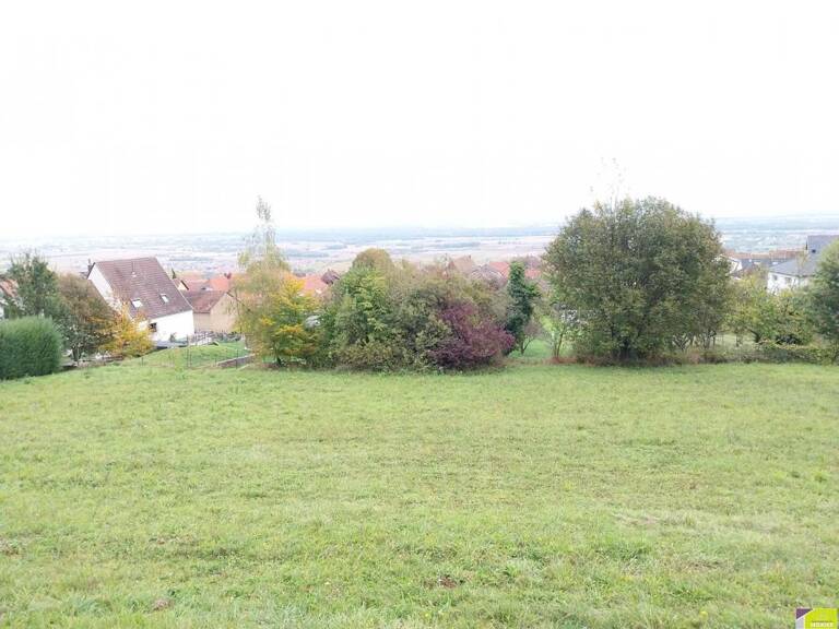 Terrain - 2282m ² — photo 1
