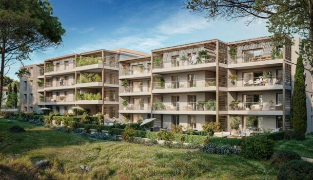 Appartement 2 pièces  à vendre Calvi 20260