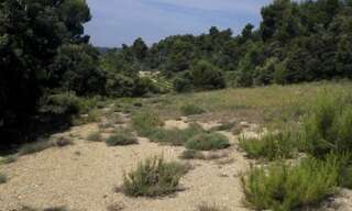 Terrain  4020 m² à vendre à Beaumont-de-Pertuis (84120)