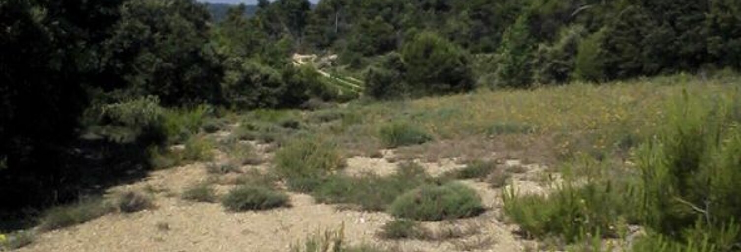 Terrain  4020 m² à vendre à Beaumont-de-Pertuis (84120)